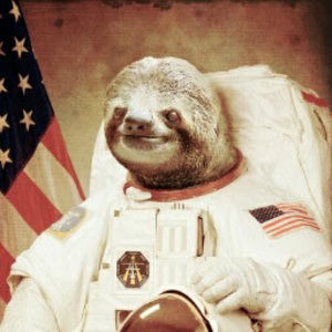 Meet your Posher, Ricardo